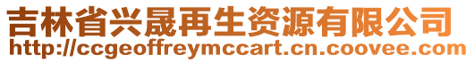 吉林省興晟再生資源有限公司