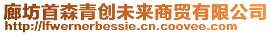 廊坊首森青創(chuàng)未來(lái)商貿(mào)有限公司