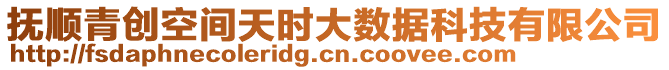 撫順青創(chuàng)空間天時(shí)大數(shù)據(jù)科技有限公司