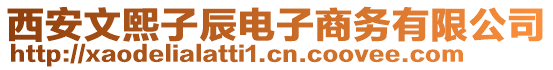 西安文熙子辰電子商務(wù)有限公司