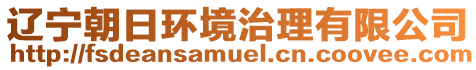 遼寧朝日環(huán)境治理有限公司