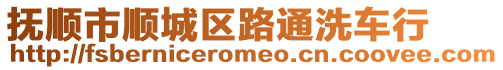 撫順市順城區路通洗車行