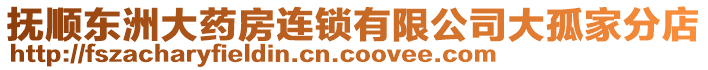 撫順東洲大藥房連鎖有限公司大孤家分店