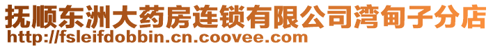 撫順東洲大藥房連鎖有限公司灣甸子分店