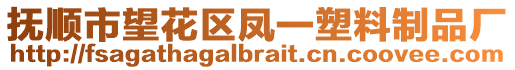 撫順市望花區(qū)鳳一塑料制品廠