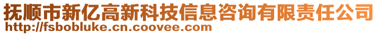 撫順市新億高新科技信息咨詢(xún)有限責(zé)任公司