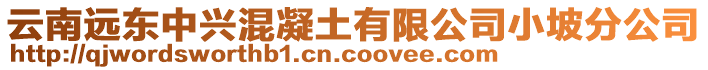 云南遠東中興混凝土有限公司小坡分公司