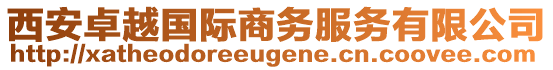 西安卓越国际商务服务有限公司