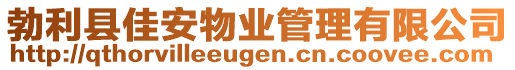 勃利縣佳安物業(yè)管理有限公司