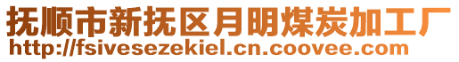 撫順市新?lián)釁^(qū)月明煤炭加工廠