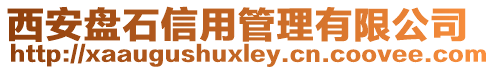 西安盤石信用管理有限公司