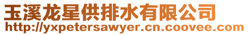 玉溪龍星供排水有限公司