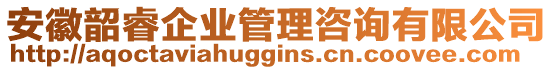 安徽韶睿企業(yè)管理咨詢有限公司