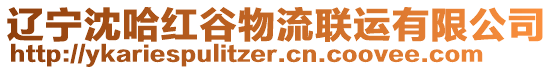 遼寧沈哈紅谷物流聯(lián)運有限公司