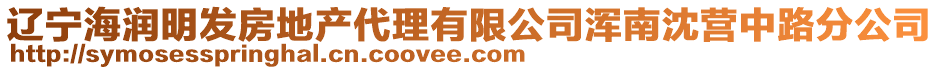 遼寧海潤(rùn)明發(fā)房地產(chǎn)代理有限公司渾南沈營(yíng)中路分公司