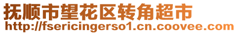 撫順市望花區(qū)轉(zhuǎn)角超市