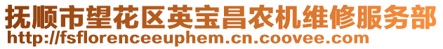 撫順市望花區(qū)英寶昌農(nóng)機(jī)維修服務(wù)部
