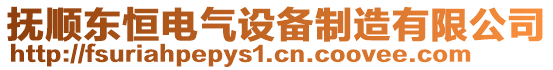 撫順東恒電氣設(shè)備制造有限公司