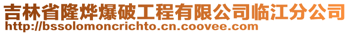 吉林省隆烨爆破工程有限公司临江分公司