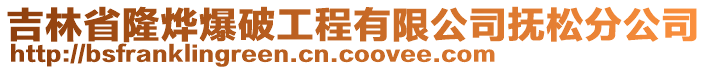 吉林省隆燁爆破工程有限公司撫松分公司