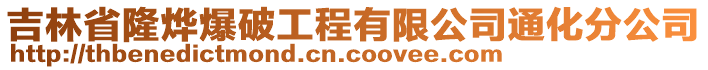 吉林省隆燁爆破工程有限公司通化分公司