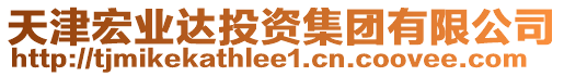 天津宏業(yè)達(dá)投資集團(tuán)有限公司