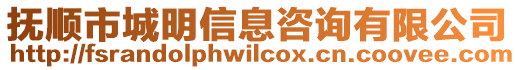 撫順市城明信息咨詢有限公司