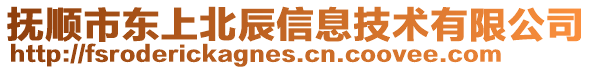 撫順市東上北辰信息技術(shù)有限公司