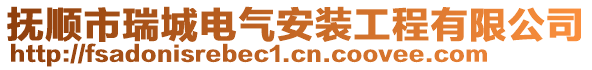 撫順市瑞城電氣安裝工程有限公司