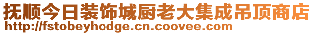 撫順今日裝飾城廚老大集成吊頂商店