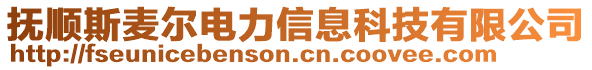 撫順斯麥爾電力信息科技有限公司