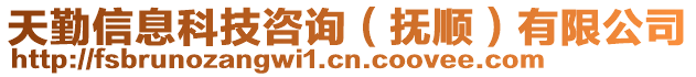 天勤信息科技咨詢（撫順）有限公司