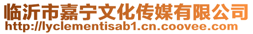 臨沂市嘉寧文化傳媒有限公司