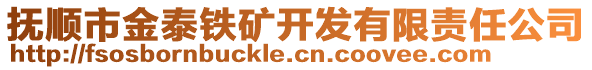 撫順市金泰鐵礦開發(fā)有限責(zé)任公司