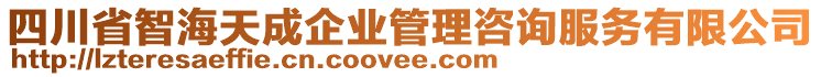 四川省智海天成企業(yè)管理咨詢服務(wù)有限公司