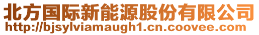 北方國(guó)際新能源股份有限公司