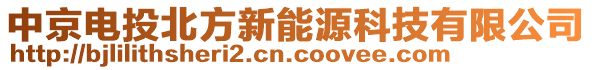 中京電投北方新能源科技有限公司