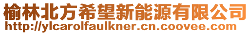 榆林北方希望新能源有限公司
