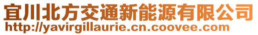 宜川北方交通新能源有限公司