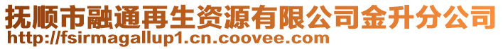 撫順市融通再生資源有限公司金升分公司