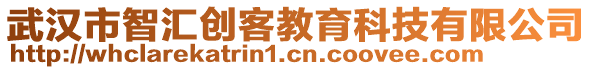 武漢市智匯創(chuàng)客教育科技有限公司