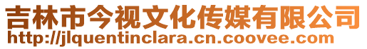 吉林市今視文化傳媒有限公司