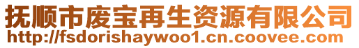 撫順市廢寶再生資源有限公司