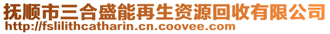 抚顺市三合盛能再生资源回收有限公司