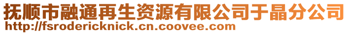 撫順市融通再生資源有限公司于晶分公司