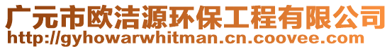 廣元市歐潔源環(huán)保工程有限公司