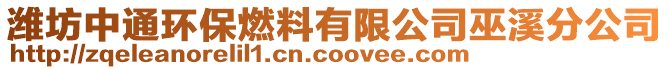 潍坊中通环保燃料有限公司巫溪分公司