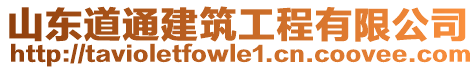山東道通建筑工程有限公司