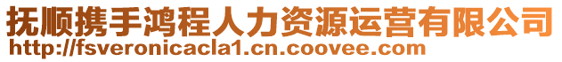 撫順攜手鴻程人力資源運(yùn)營有限公司