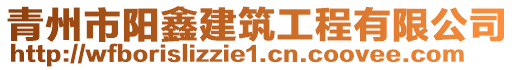 青州市陽鑫建筑工程有限公司